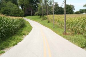 corn field